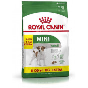 Royal Canin Mini Adult 8+1 kg