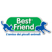 Best Friend