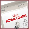 Royal Canin Special